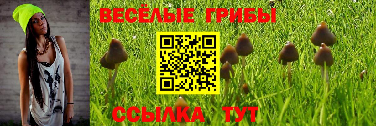 Хабаровск  Галлюциногенные грибы Magic Shrooms  Вход с VPN 